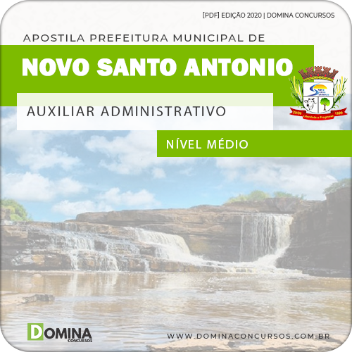 Apostila Pref Novo Santo Antonio PI 2020 Auxiliar Administrativo