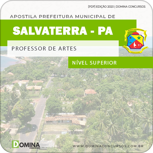 Apostila Concurso Salvaterra PA 2020 Professor de Artes