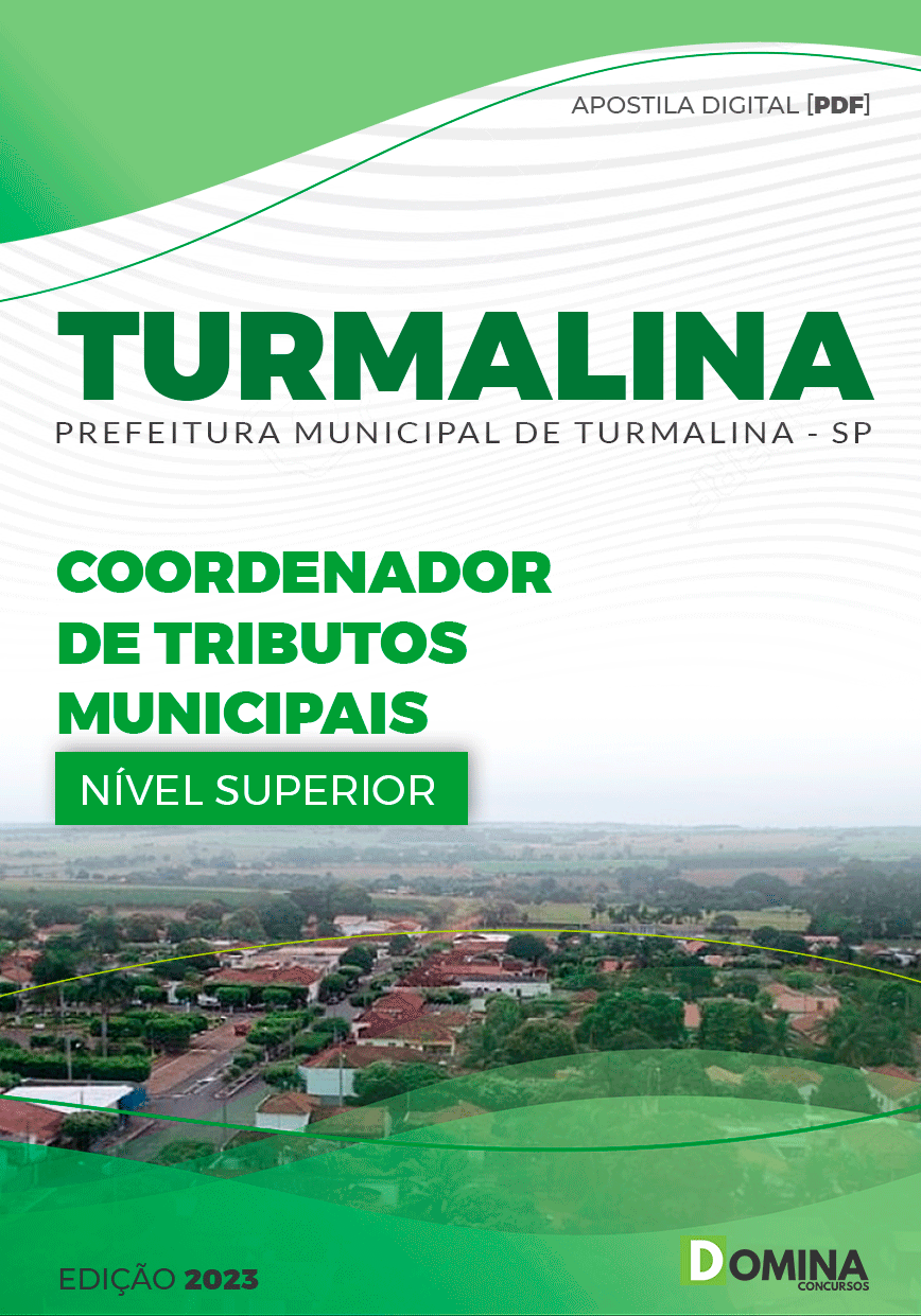 Apostila Pref Turmalina SP 2023 Coordenador Tecnologia Informação