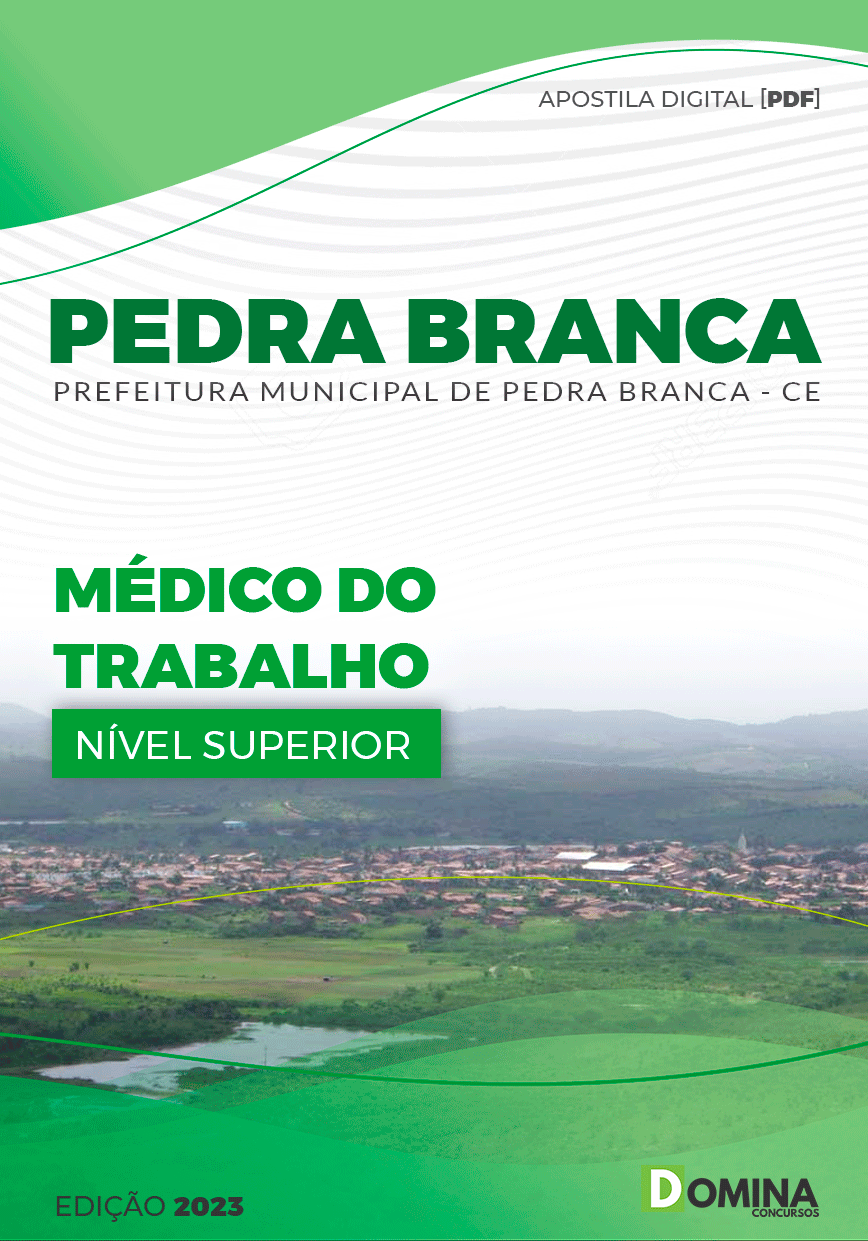 Apostila Concurso UFRB 2023 Técnico Tecnologia Informação