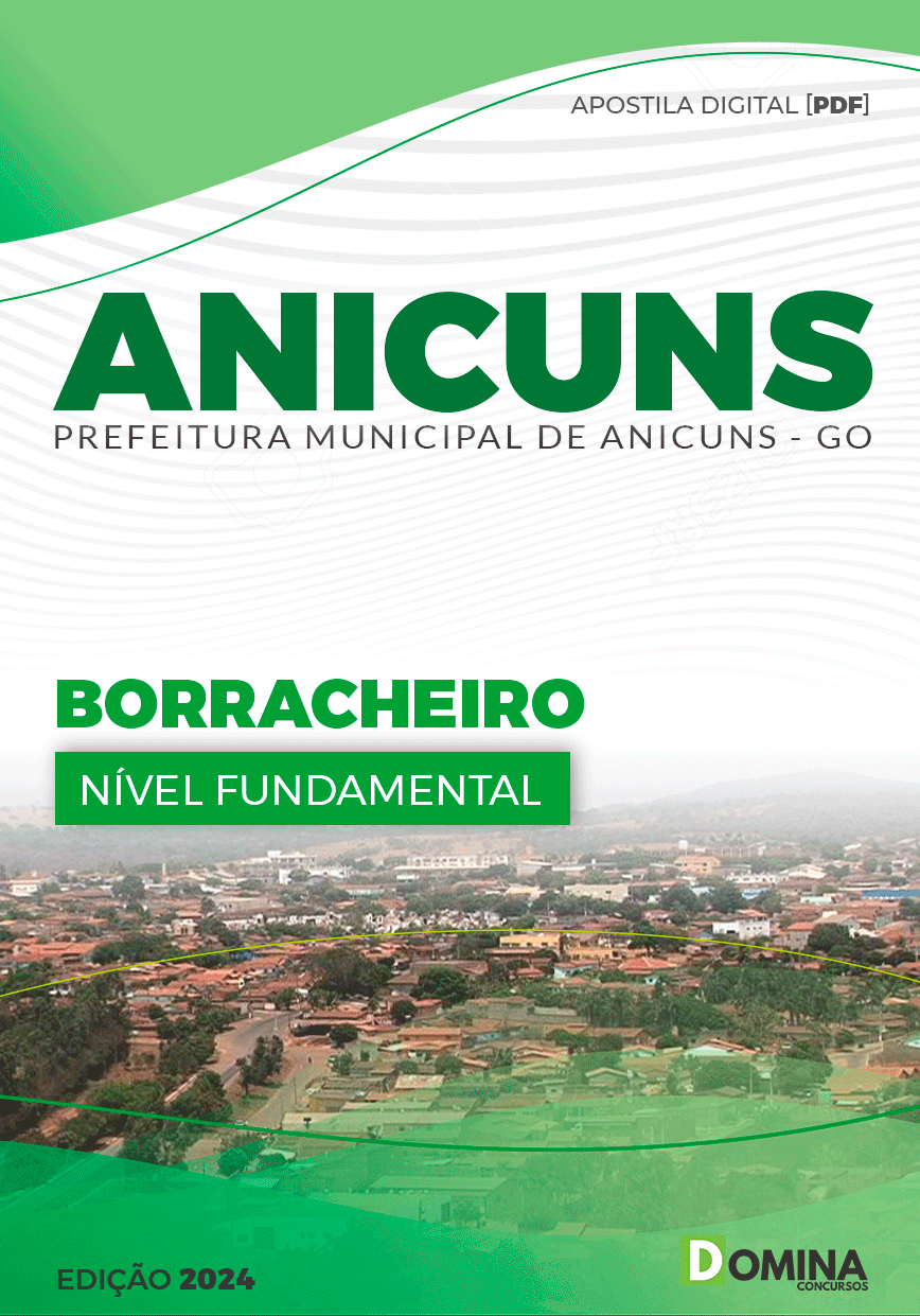 Apostila Borracheiro Anicuns GO 2024